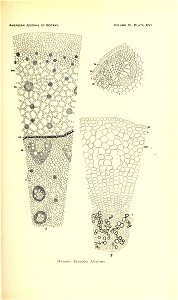 n156_w1150