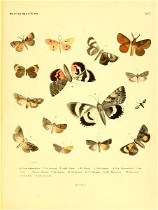n122_w1150