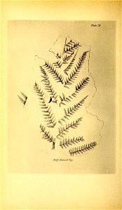 n119_w1150