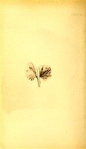 n59_w1150