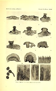 n570_w1150