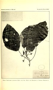 n302_w1150