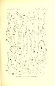 n516_w1150