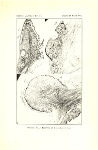 n302_w1150
