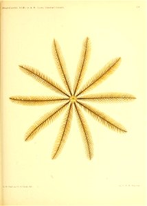 n342_w1150