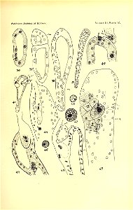 n178_w1150