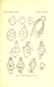 n494_w1150