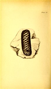 n231_w1150
