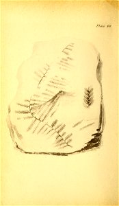 n175_w1150