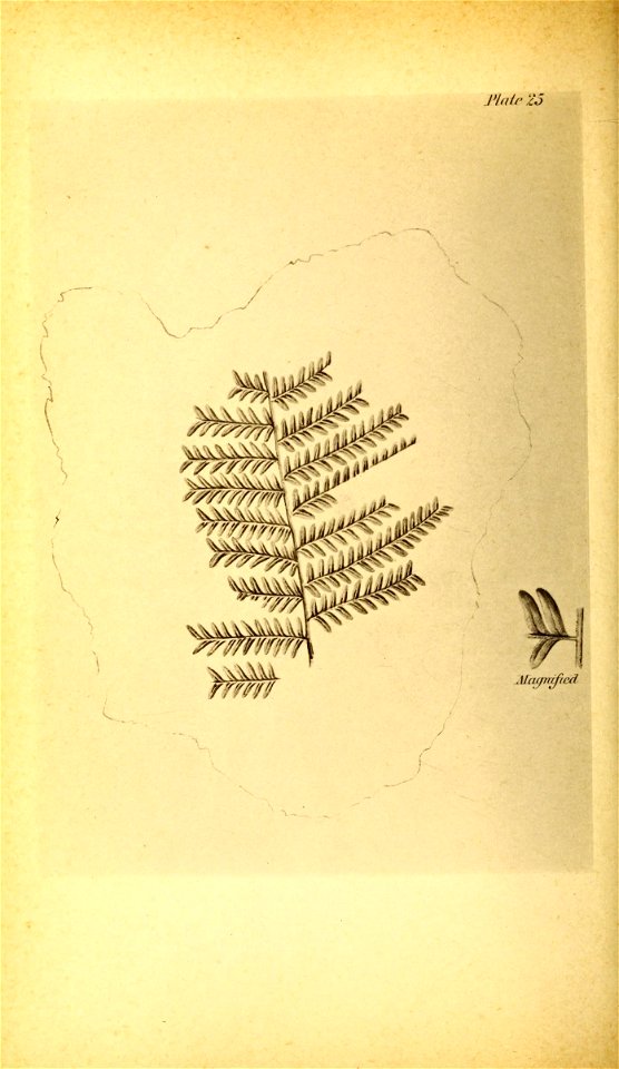 n115_w1150
