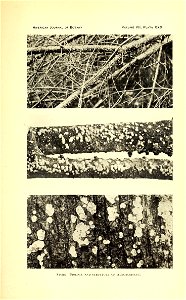 n568_w1150