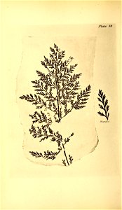 n171_w1150