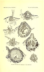 n554_w1150