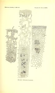 n178_w1150