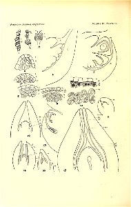 n161_w1150