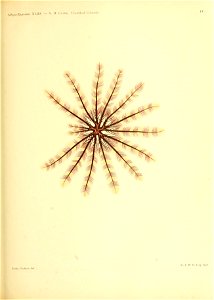 n332_w1150