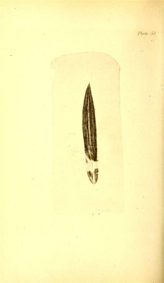 n225_w1150