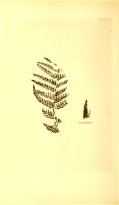 n107_w1150