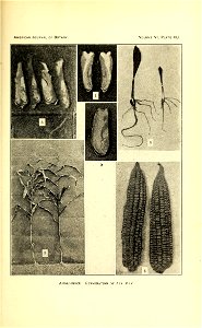 n582_w1150