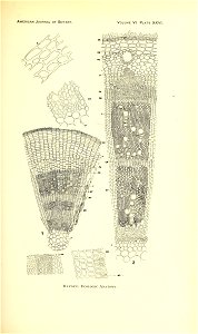 n176_w1150