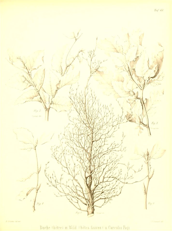 n506_w1150