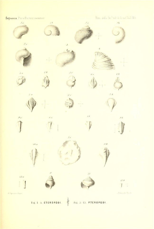 n482_w1150