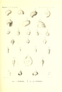 n482_w1150