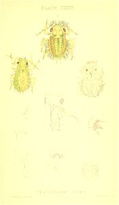 n356_w1150