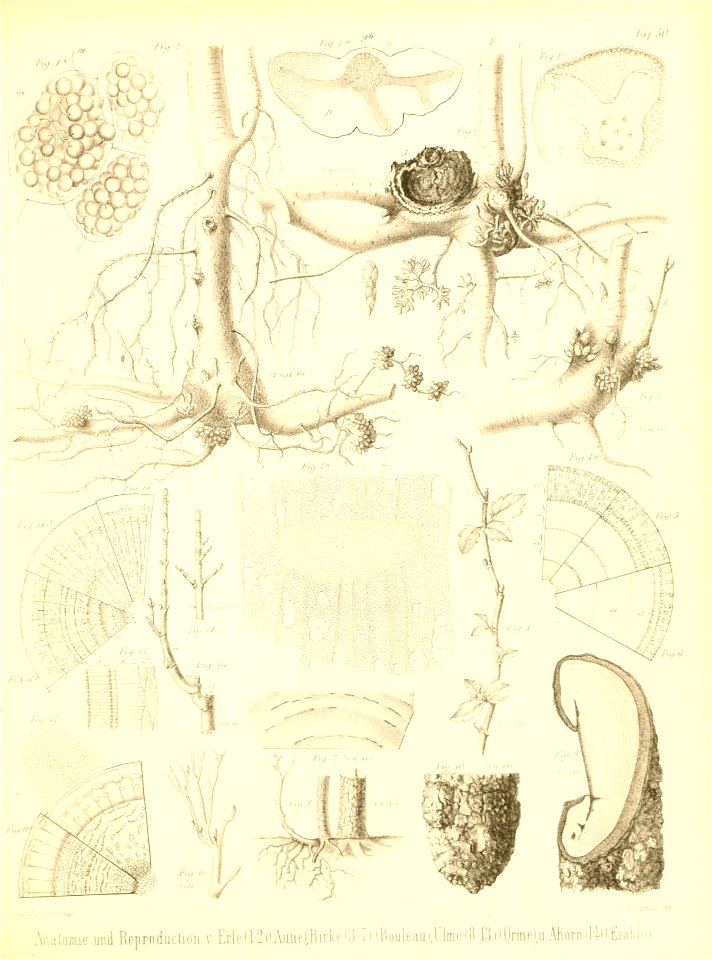 n524_w1150