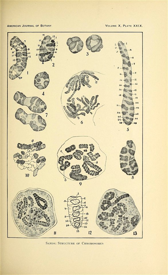n456_w1150