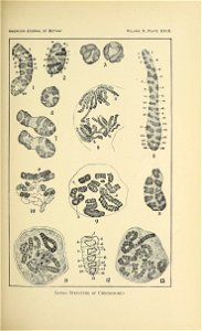 n456_w1150