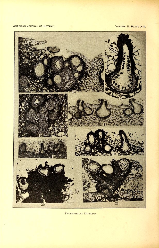 n379_w1150
