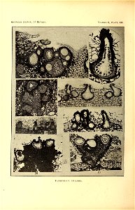 n379_w1150