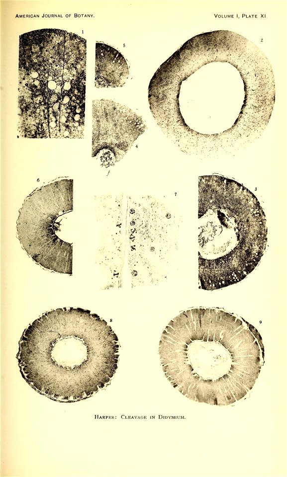 n192_w1150