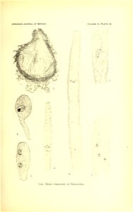 n112_w1150