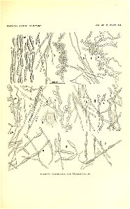 n542_w1150