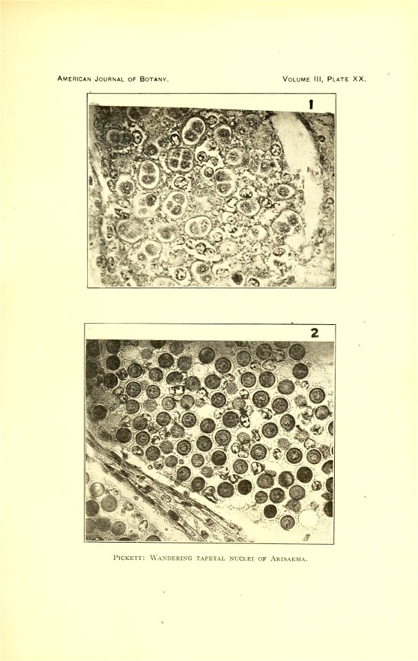 n522_w1150