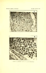 n522_w1150