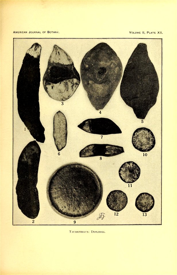 n378_w1150