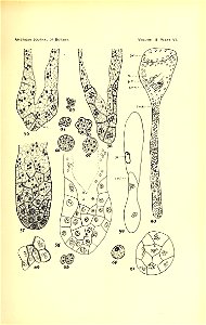 n186_w1150
