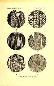 n288_w1150