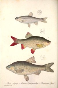 n319_w1150