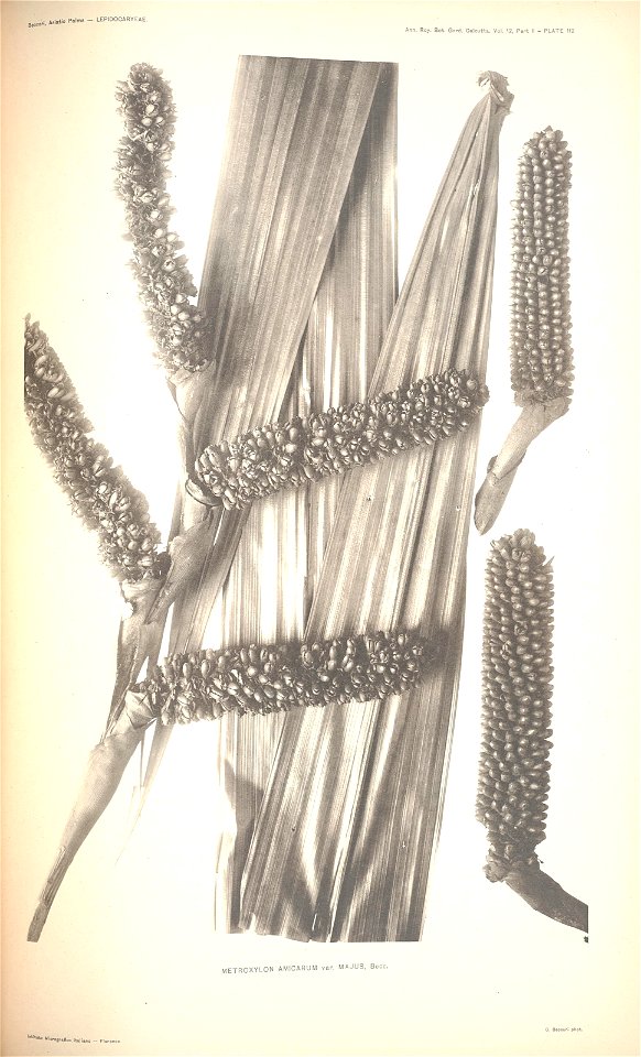n117_w1150