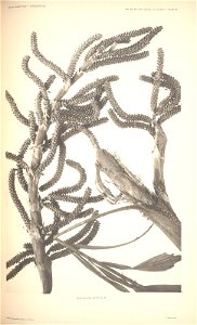 n102_w1150