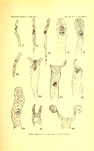 n572_w1150