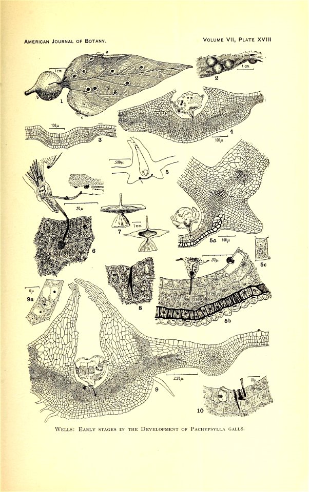 n358_w1150