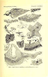 n358_w1150