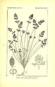 n618_w1150