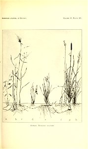 n154_w1150