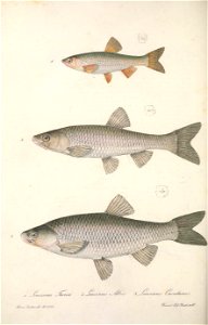 n303_w1150